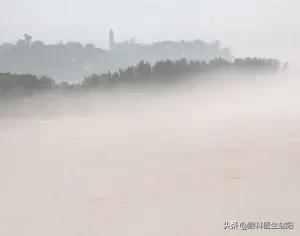 赵小刀白内障视频全集,白化病做了近视手术