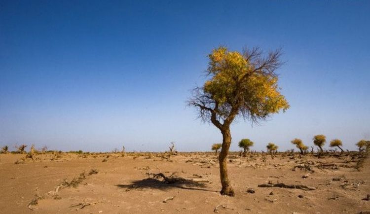 教改20年，三线以下城乡素质教育的问题和希望（原创