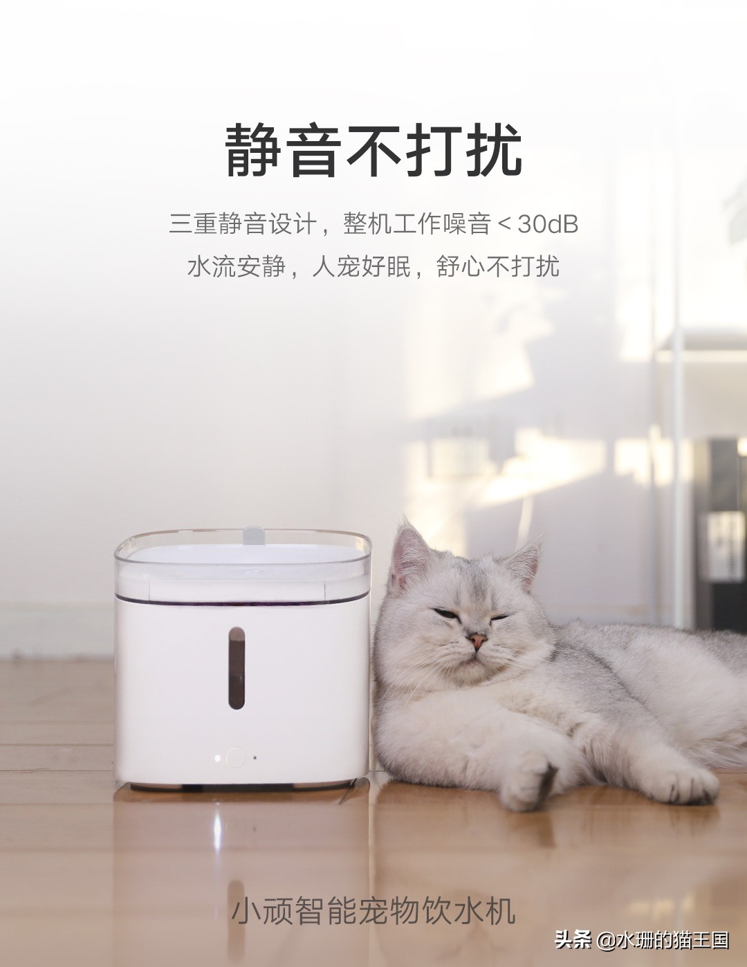 小顽智能宠物饮水机怎么使用,小清泉宠物无线饮水机测评