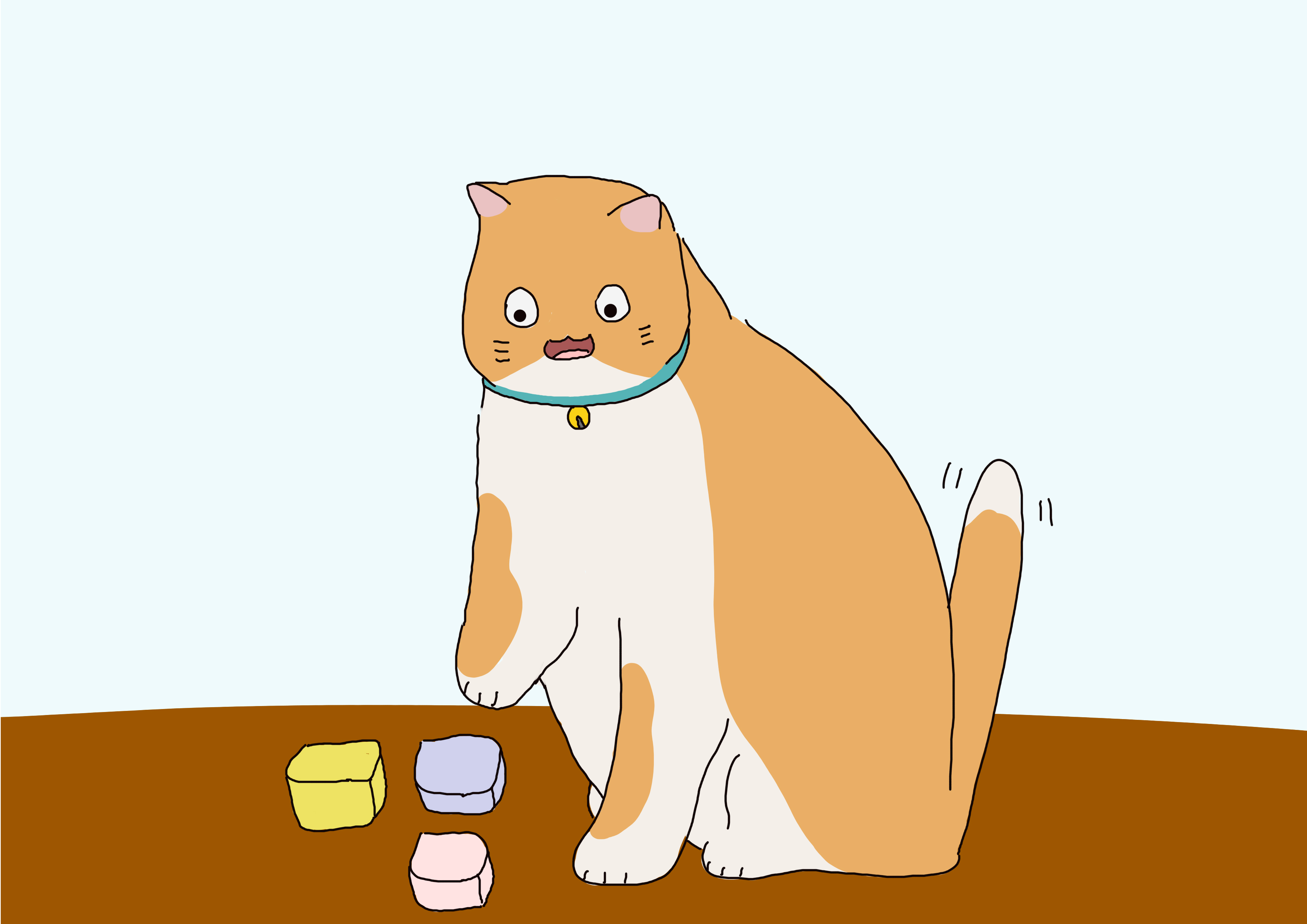 对猫有利的3种玩耍方式,对猫有益处的食物