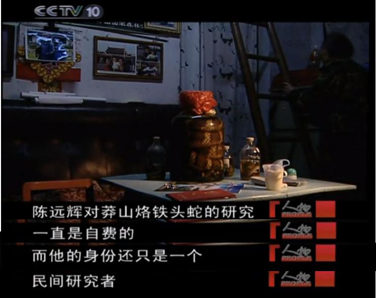 蛇博士完整版,蛇博士烙铁头