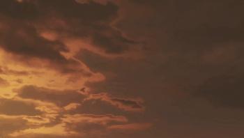 《只狼》的背景故事全面解析,只狼隐藏的真实故事