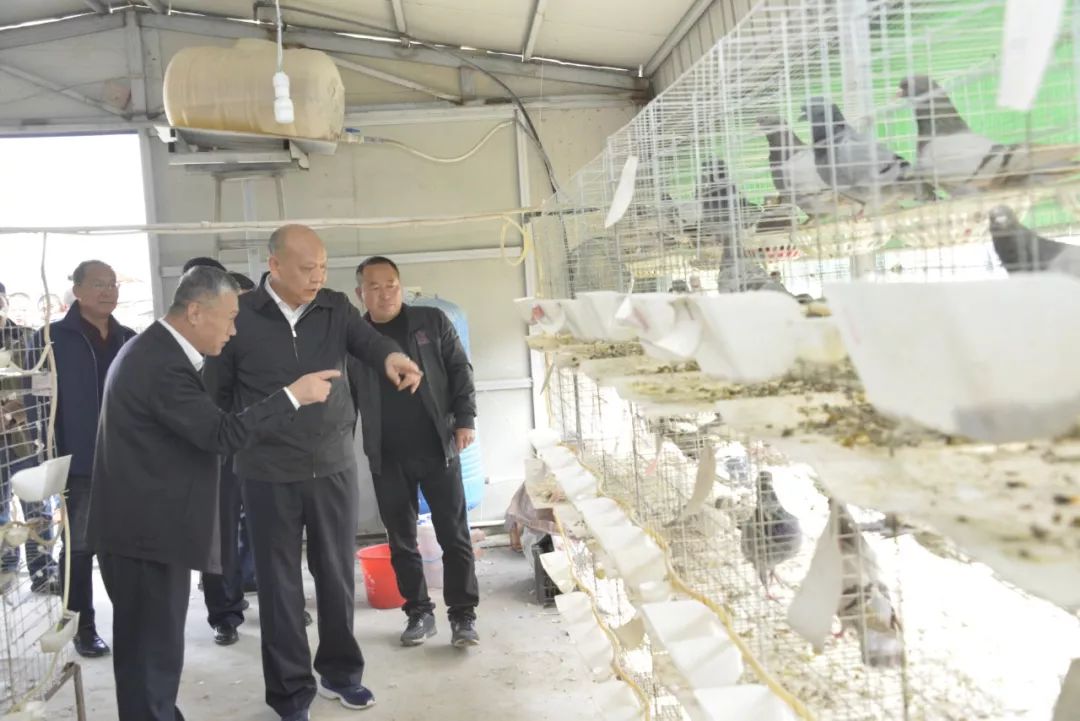 安徽乡村振兴重点帮扶县名单,乡村振兴省重点帮扶村