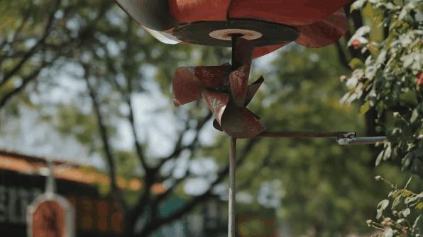 聊城最老一条街,聊城哪里一条街都是饭店