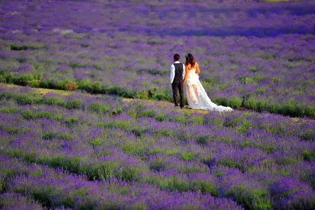 穷游昆明自由行攻略,昆明旅游攻略穷游推荐