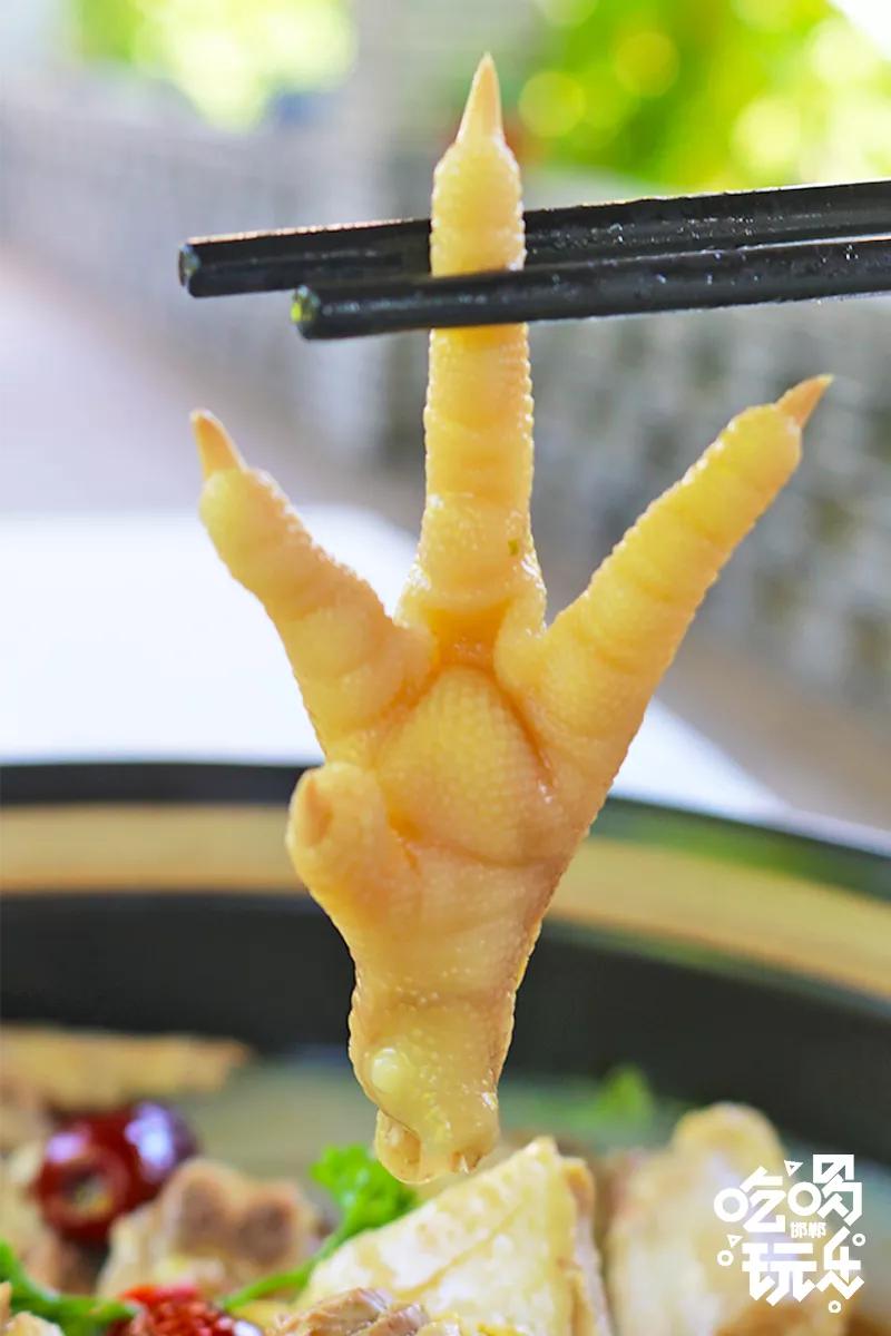 秋冬来袭!来碗养生汤!吃着鸽子喝着汤!请客有面子就到鸽子王