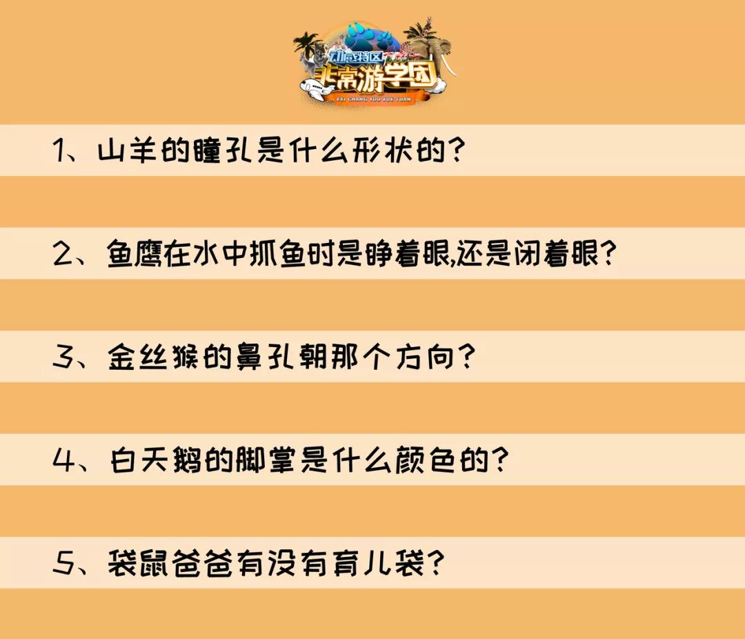 大熊猫相关知识,大熊猫百科知识详细介绍