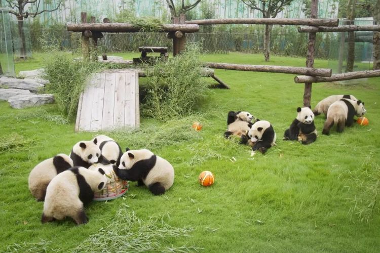 上海休闲娱乐好去处可以呆一整天,上海十大免费玩的地方