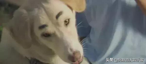 有哪些关于泰国的好看的电影,泰国小清新电影解说