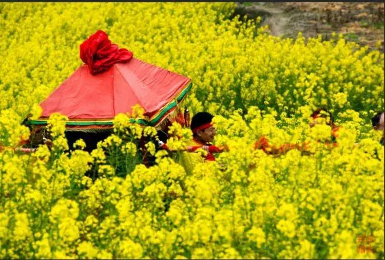 沅陵凤滩介绍,沅陵县凤滩水电站风景