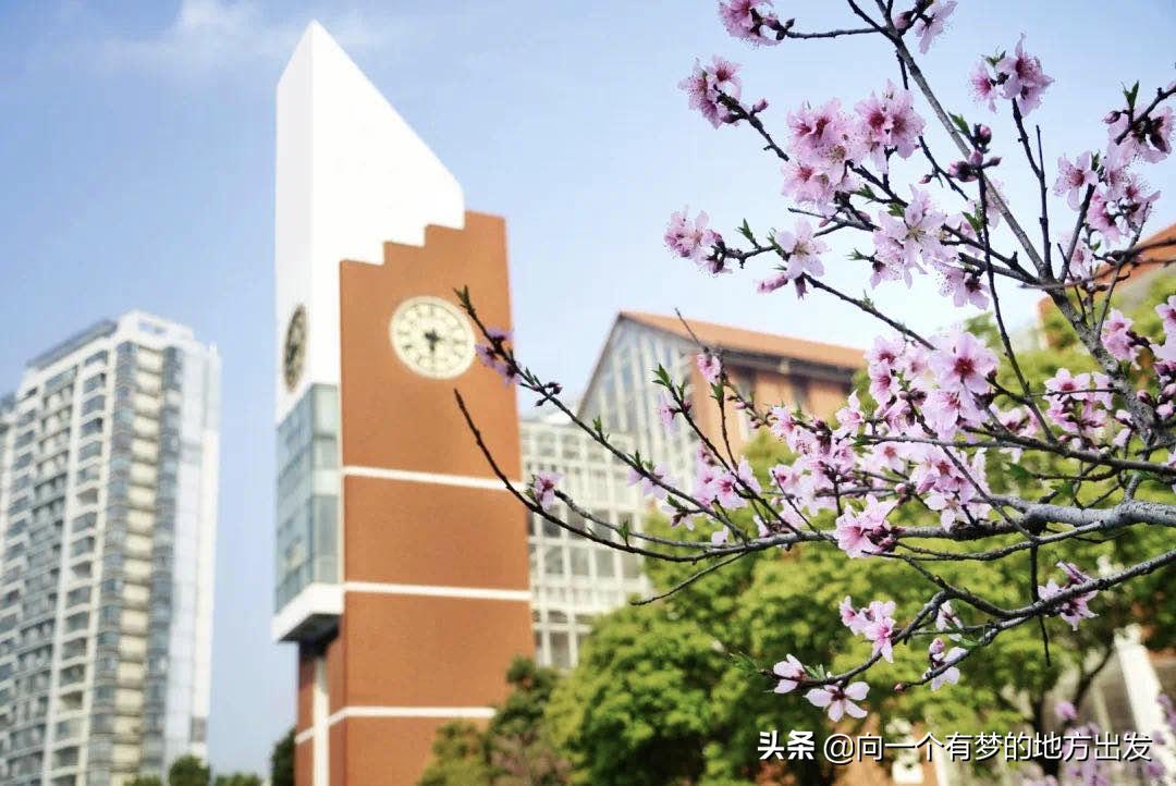 园区星湾学校中考情况,星河明珠湾学校中考成绩