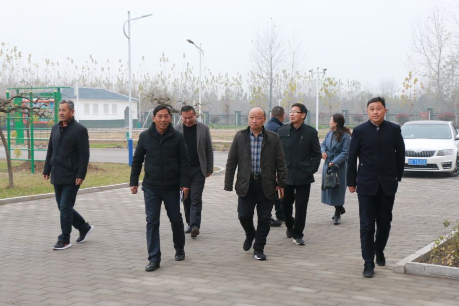 沛县冯集小学新闻,沛县鹿楼镇冯集小学