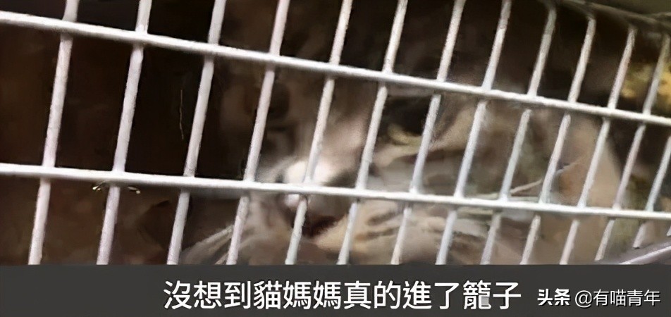 24岁男子喜当爹去派出所,90后男子相亲被误当爹