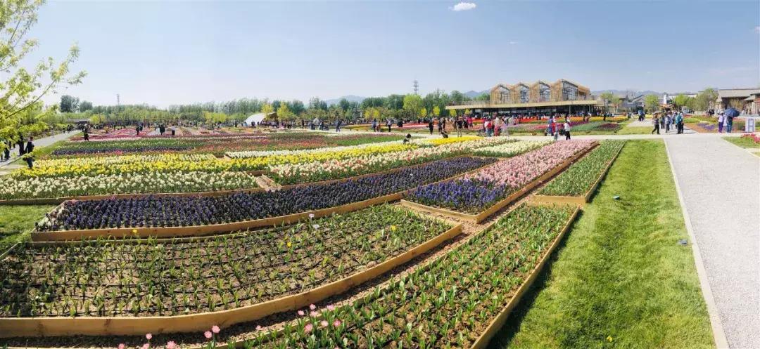 北京世园会自驾一日游攻略2020,从大同自驾去世园会