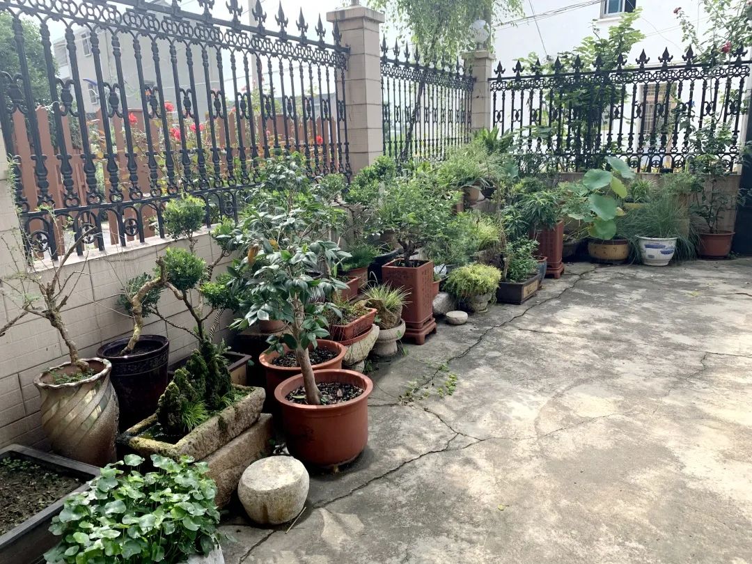 风景好的地方江阴,江阴好风景