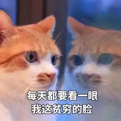 哪款精华对法令纹有效果,抗皱祛法令纹效果好的精华有哪些