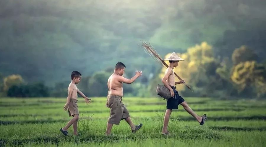 一等奖作文北大才女,北大才女一等奖