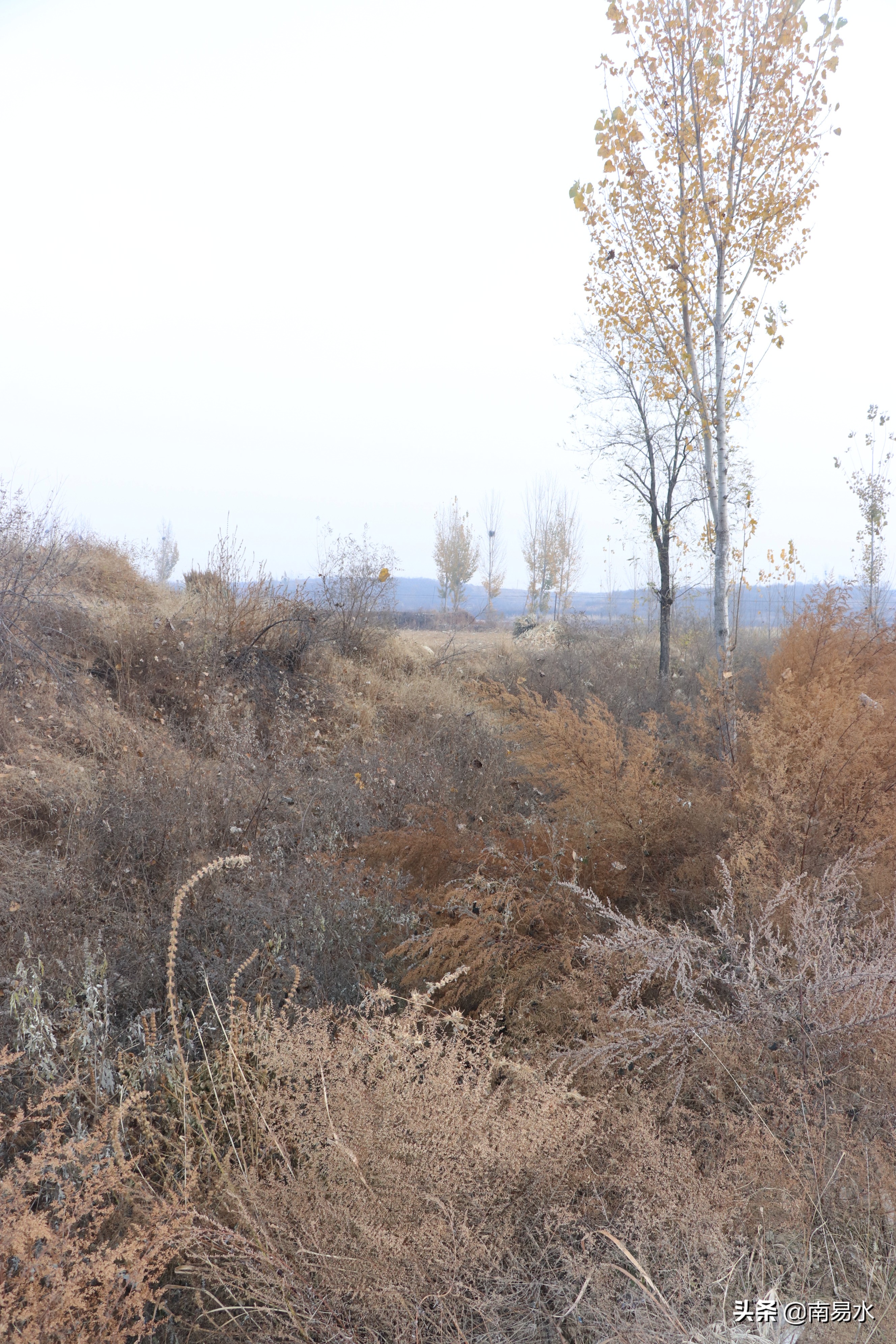 家乡风景带你一起感受自然的味道,令你难以忘怀的家乡的味道