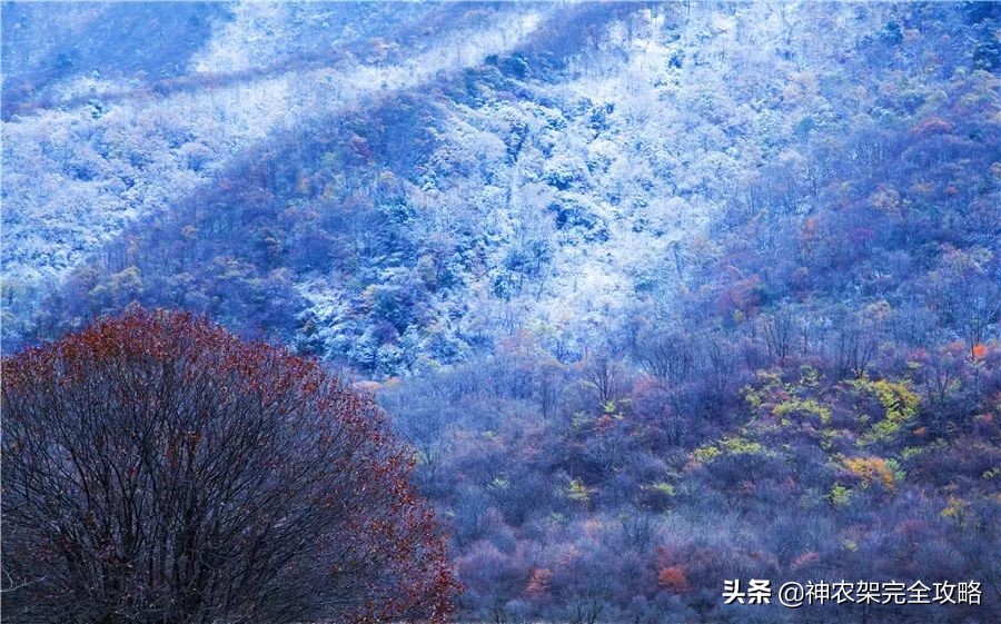 6月份神农架景区冷不冷,神农架6月底冷吗