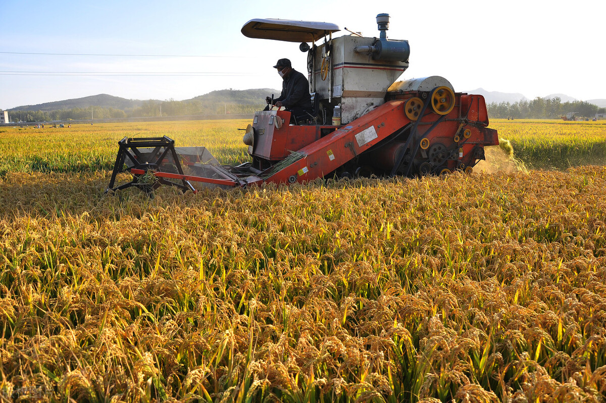 今天看到一个问题，问的是“山西运城真的很穷”，让我很诧异