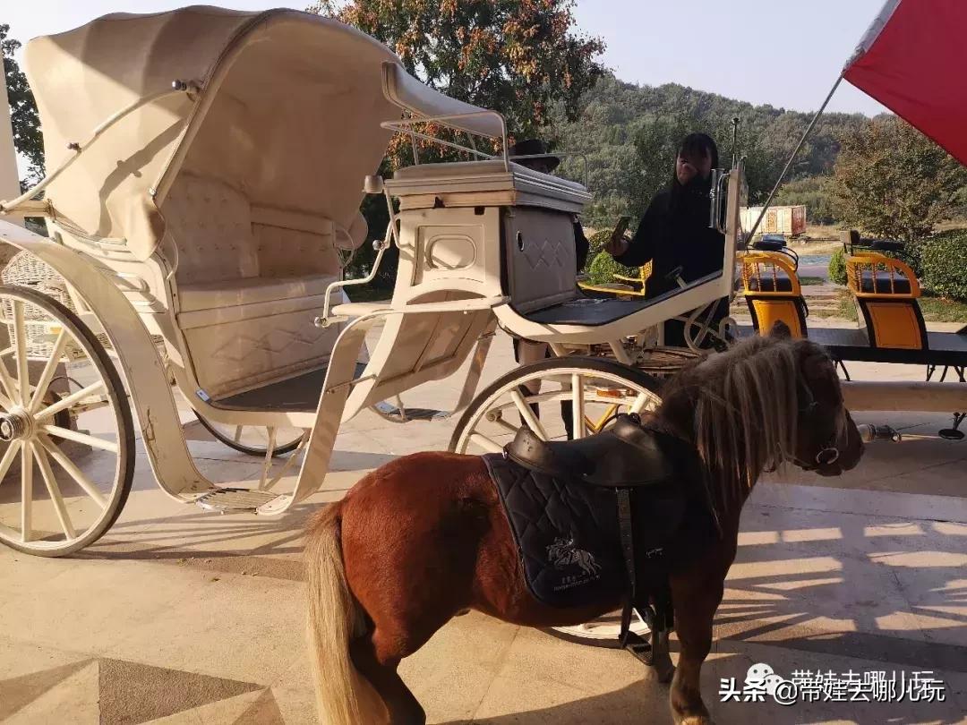 北京最有度假感的酒店，就在金海湖