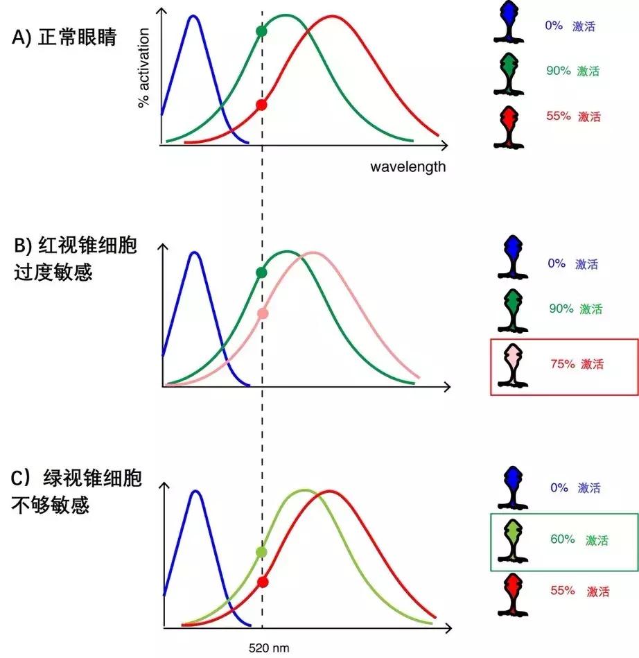 当色盲患者第一次看到色彩瞬间,色盲突然看见色彩的样子