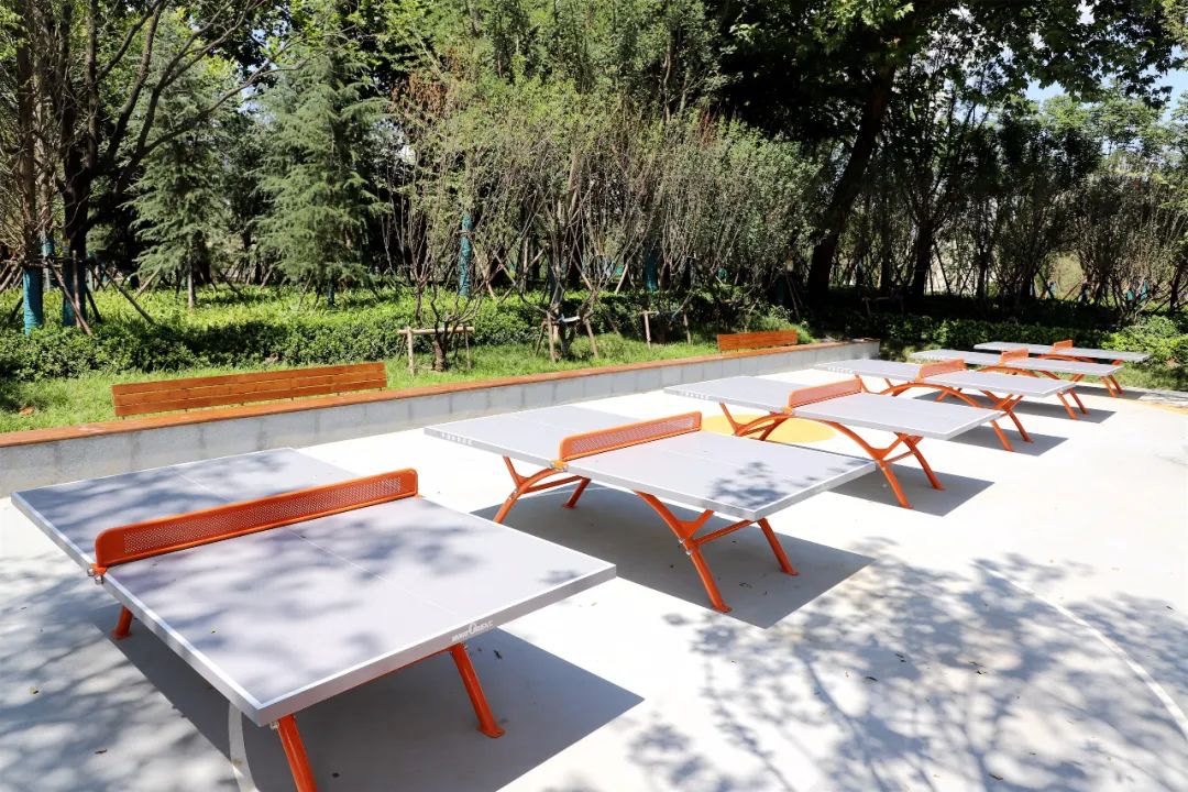 幸福林带公园,全民健身步道最新消息