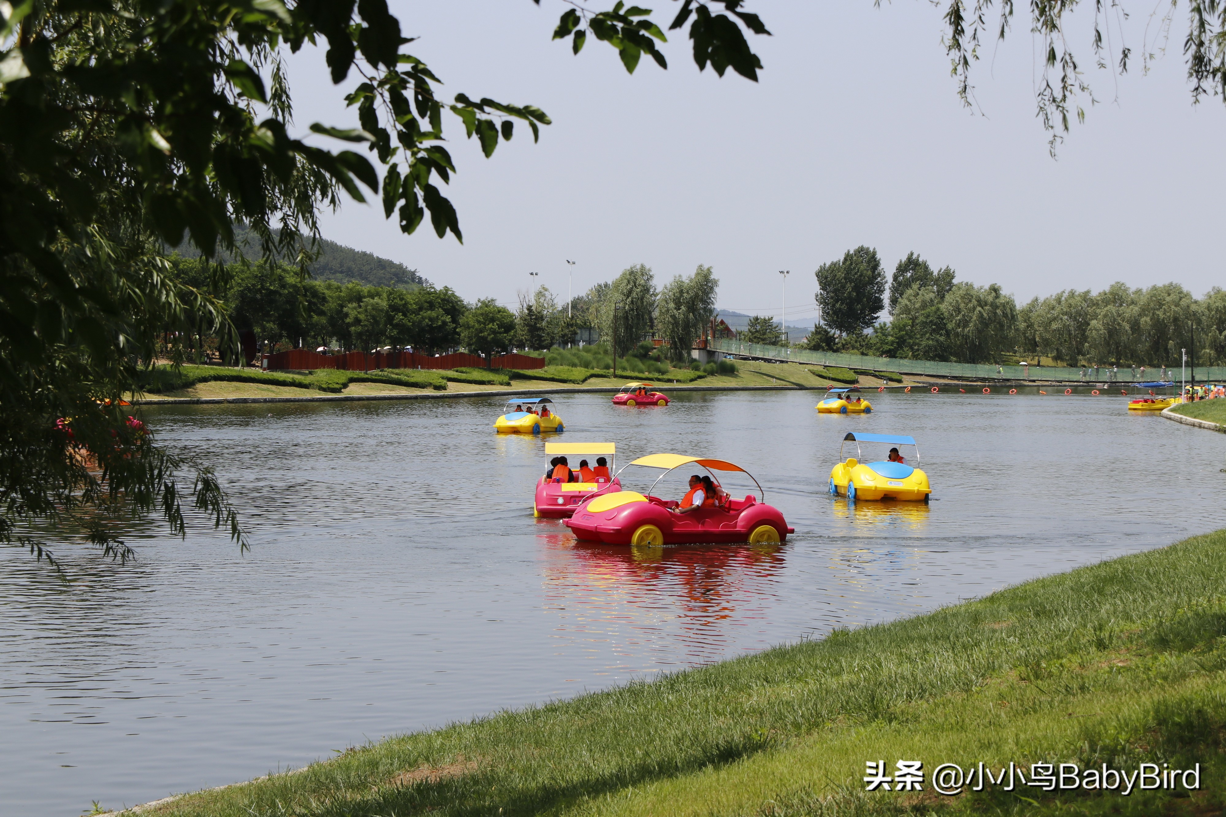 威海羊亭湿地公园,大美河畔