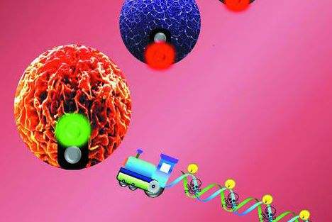 肺癌症晚期用靶向治疗大概多少钱,用靶向治疗就一定是癌症晚期吗