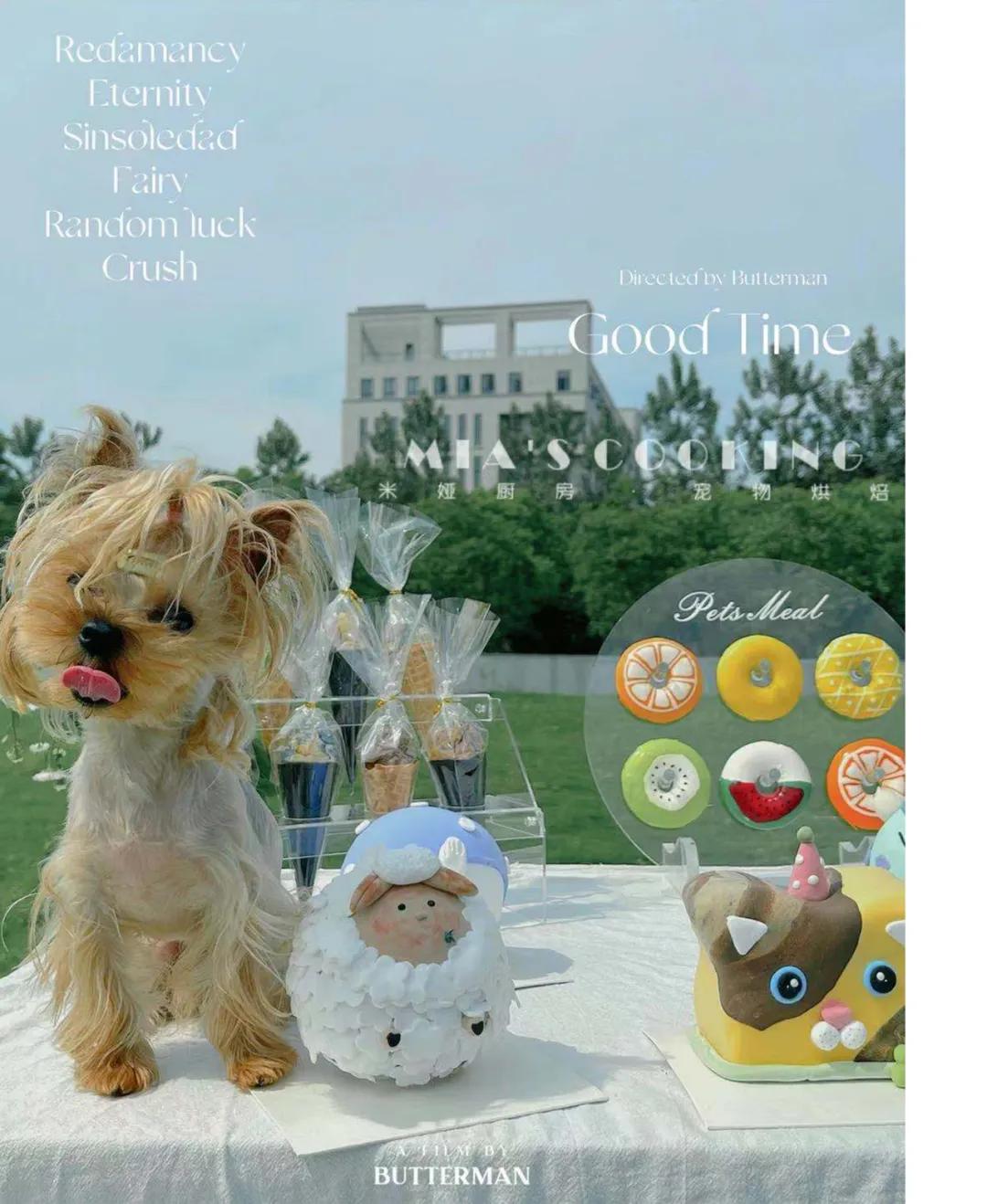 life暴雪嘉年华,life潮跑版