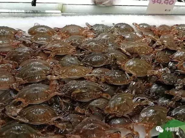 中秋营销水产篇，如何稳中求胜创佳绩？