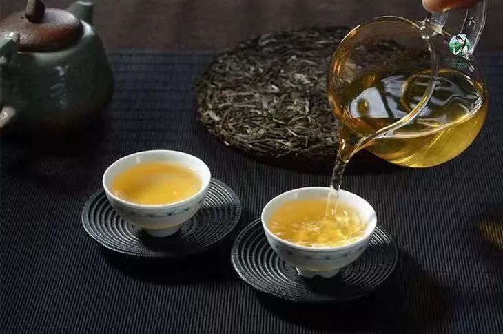 易武山和易武正山的区别,易武正山是什么