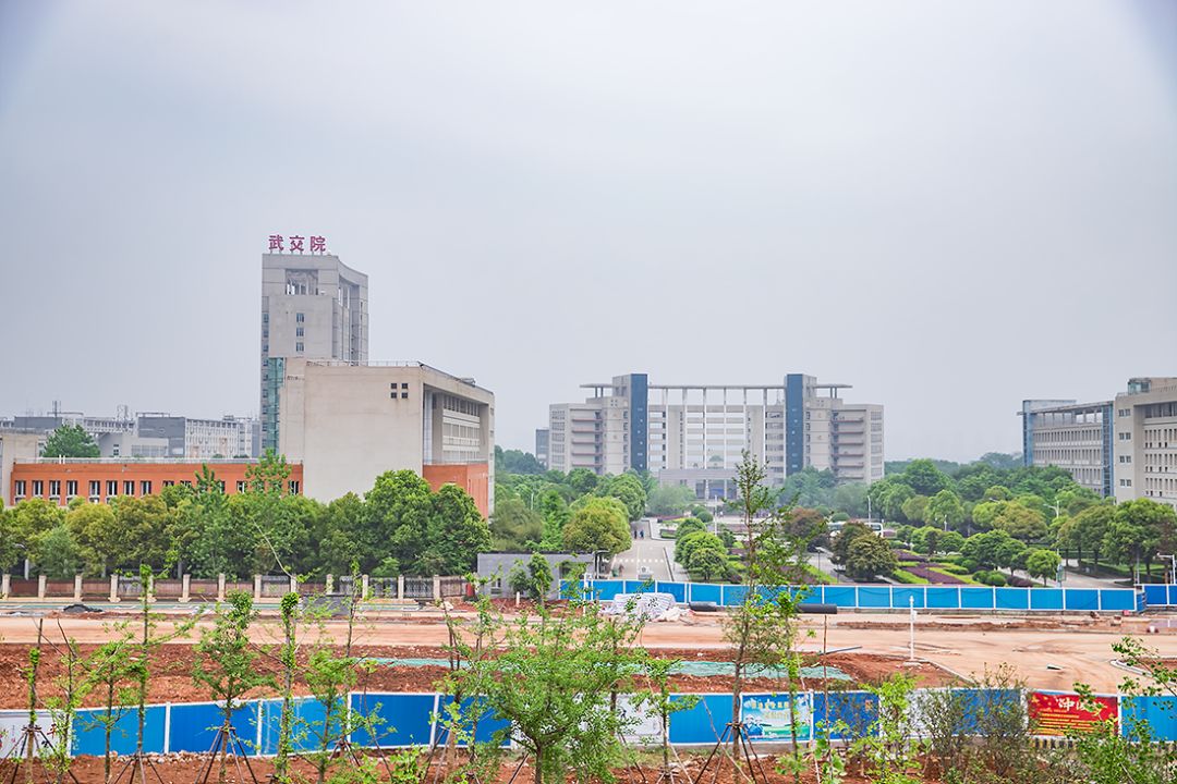 武科大最近消息,武科大最新信息