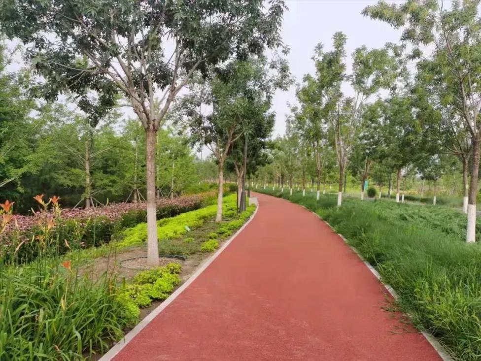 北京跑步公园排行榜,北京适合跑半马的公园