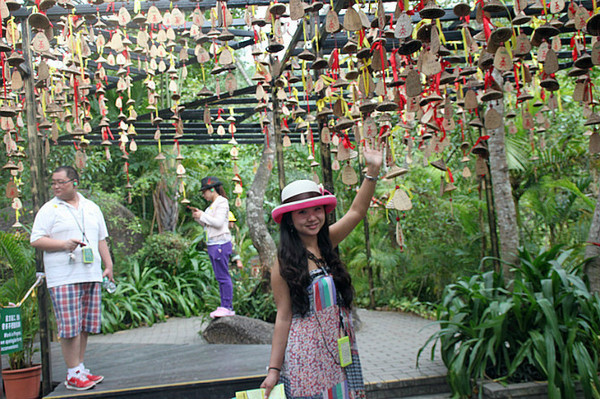 三亚旅游自由行全攻略,三亚旅游攻略自由行游记