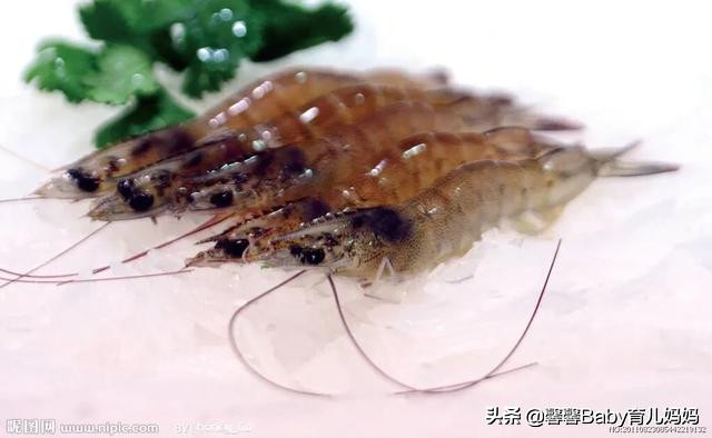 宝宝开始吃的辅食有哪些,含钙量高的辅食