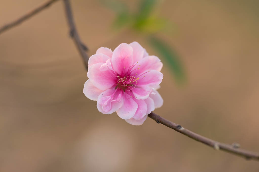 心存善念敬畏自然,深怀对自然的敬畏之心