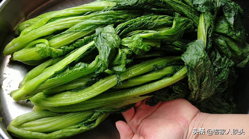 家庭自制酸菜的做法窍门是什么,简易酸菜怎么泡制又脆又好吃