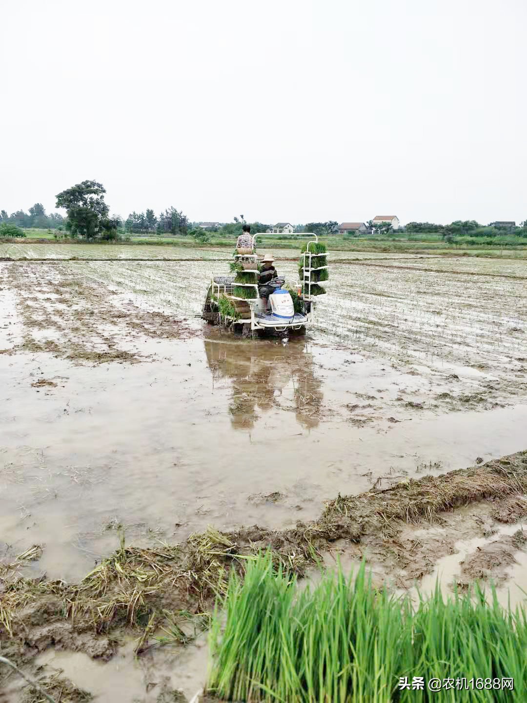 农机合作社插秧机,东风井关插秧机技术核心在哪里