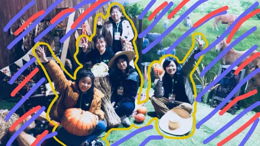 真正的有机农场纯天然蔬菜,种菜有机食品有哪些