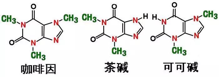 今日食普628期：咖啡因，天天打交道的精神药物