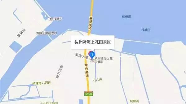 绍兴杭州湾海上花田100万郁金香等你来赏来赴一场春天的约会。