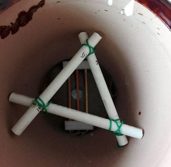 绿萝怎么造型更好看,大绿萝怎么做造型好看