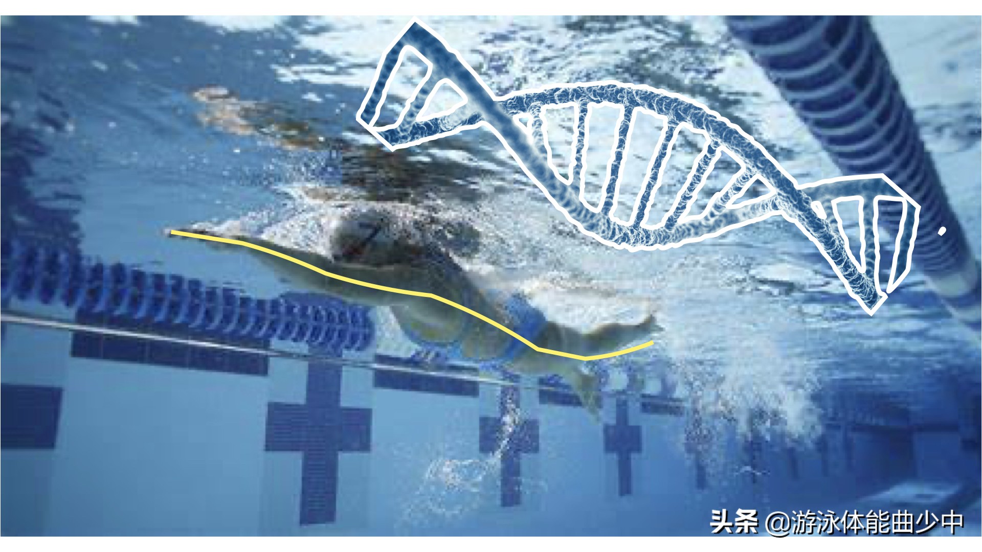 游泳初学者会有什么问题,游泳初学者的常见误区