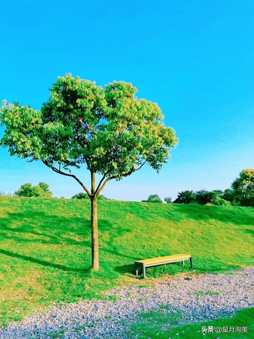 成都小众打卡地点推荐,成都小众但值得去的地方