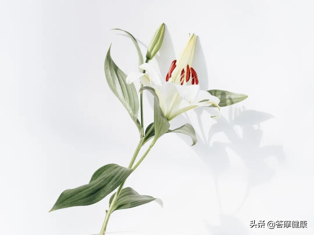 调理脾胃中药方张仲景,医圣张仲景调理脾胃的方子