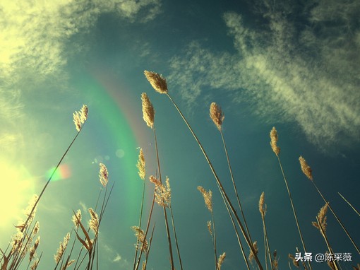 分别后不知君远近,别后不知君远近相逢犹恐是梦中