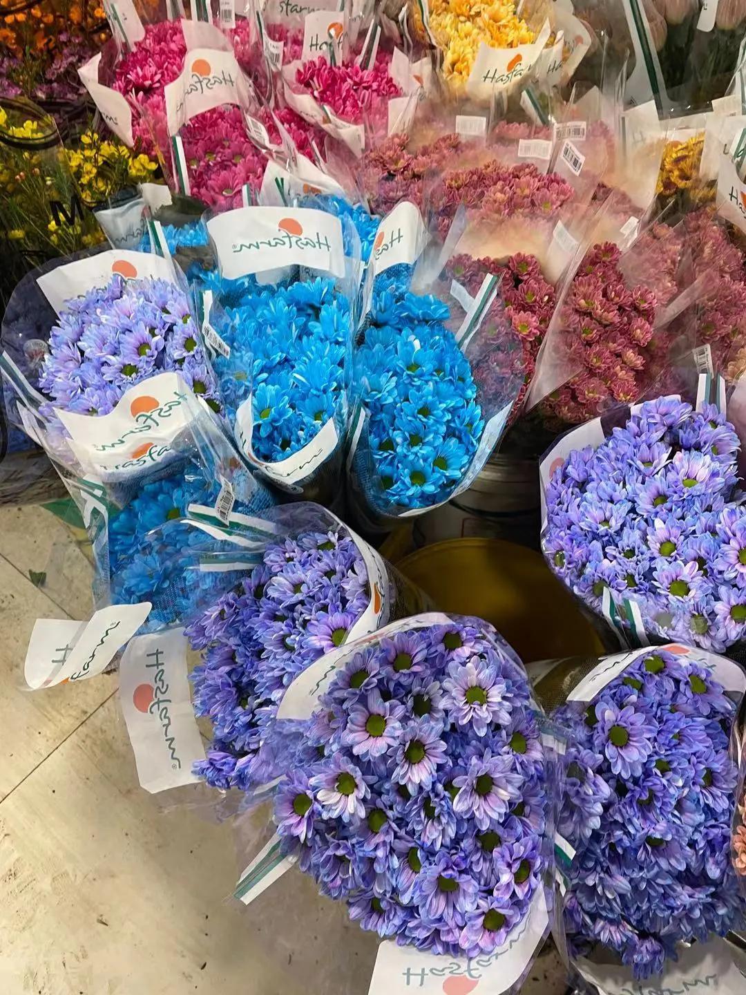 实拍青岛花卉市场！你每年都会选购哪些品种的年宵花呢？