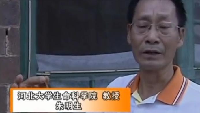 毒蝎进村的真实事件,毒蝎进村的真实原因