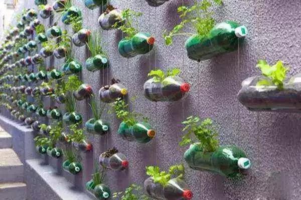 用塑料瓶做养花神器的喷壶怎么做,塑料瓶养花神器